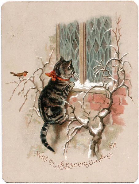 Kitten and robin on a Christmas card