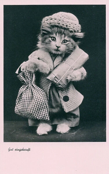 Kitten on a shopping trip on a German postcard