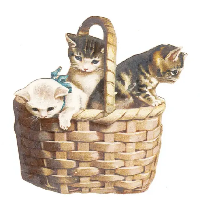 Framed Print : Three kittens in a basket on a cutout greetings card Framed Print : Three kittens in a basket on a cutout greetings card
