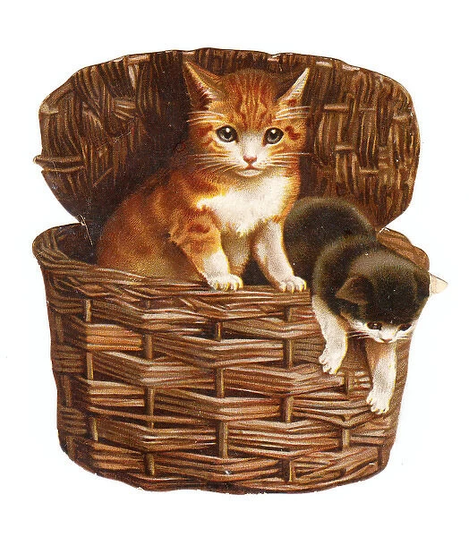 Two kittens in a basket on a cutout greetings card