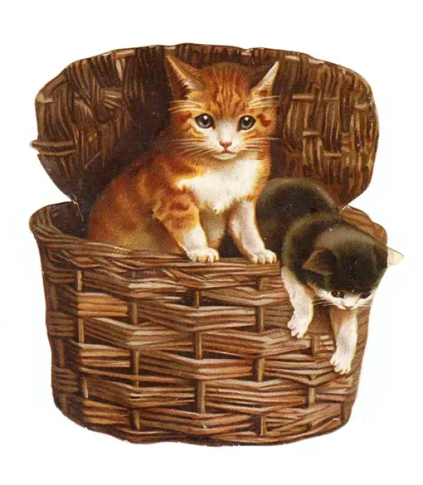 Framed Print : Two kittens in a basket on a cutout greetings card Framed Print : Two kittens in a basket on a cutout greetings card