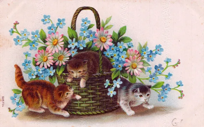Framed Print : Kittens with a basket of flowers on a postcard