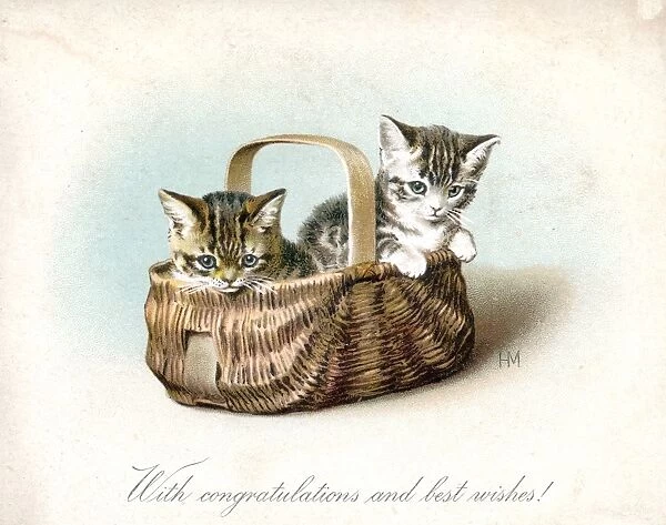Two kittens in a basket on a greetings card