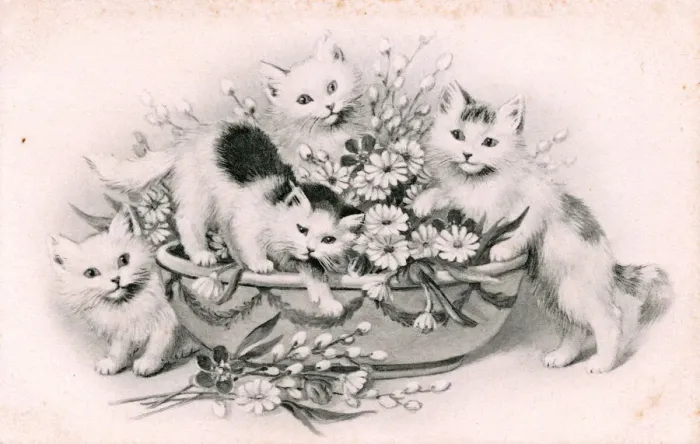 Framed Print : Kittens with a bowl of flowers on a postcard Framed Print : Kittens with a bowl of flowers on a postcard