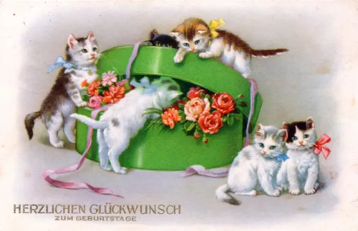 Framed Print : Kittens with box of flowers on a German birthday postcard Framed Print : Kittens with box of flowers on a German birthday postcard