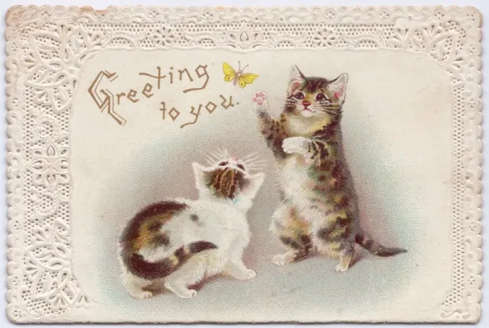 Framed Print : Two kittens with butterfly on a greetings card Framed Print : Two kittens with butterfly on a greetings card