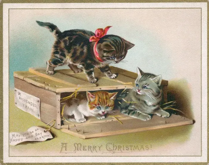 Framed Print : Three kittens on a Christmas card Framed Print : Three kittens on a Christmas card