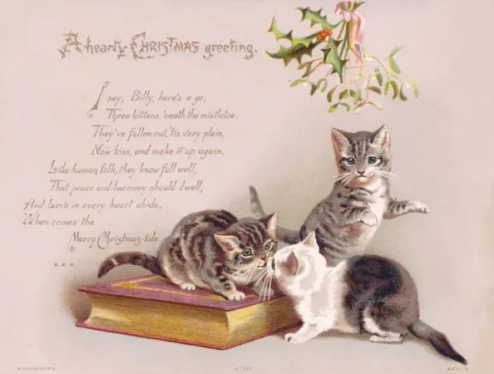 Framed Print : Three kittens on a Christmas card Framed Print : Three kittens on a Christmas card
