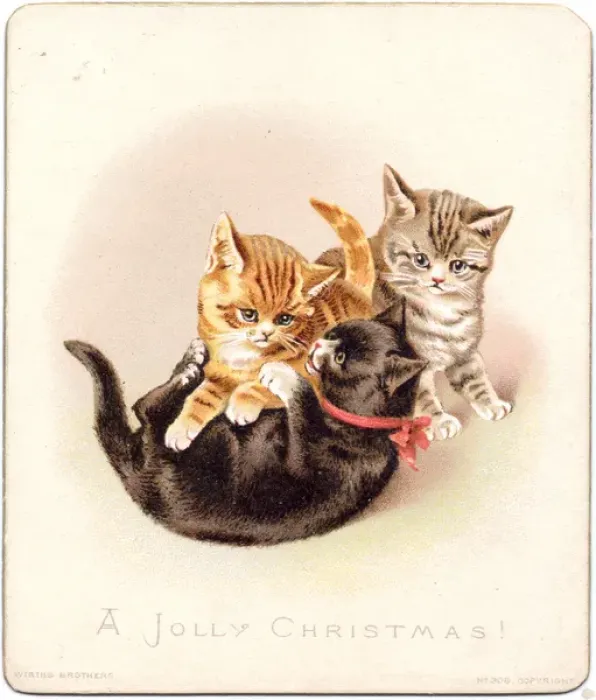 Framed Print : Three kittens on a Christmas card Framed Print : Three kittens on a Christmas card