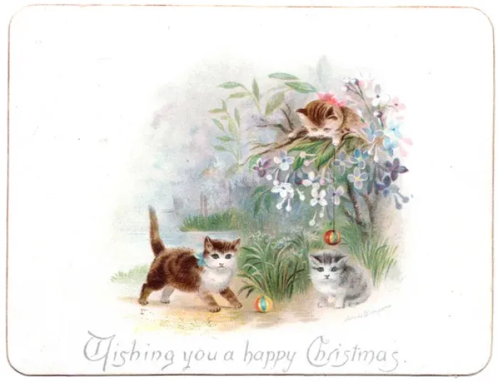 Framed Print : Three kittens on a Christmas card Framed Print : Three kittens on a Christmas card