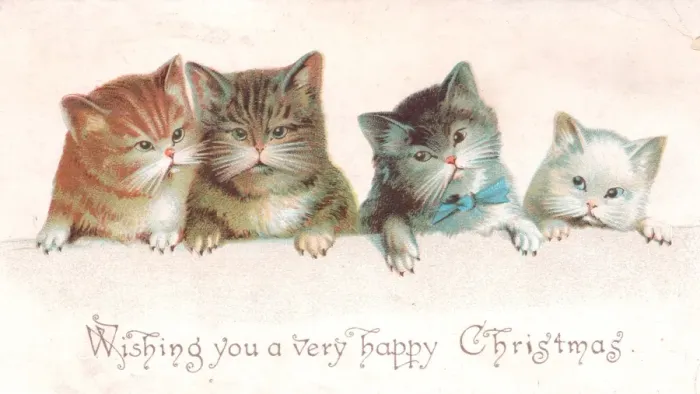 Framed Print : Four kittens on a Christmas card Framed Print : Four kittens on a Christmas card
