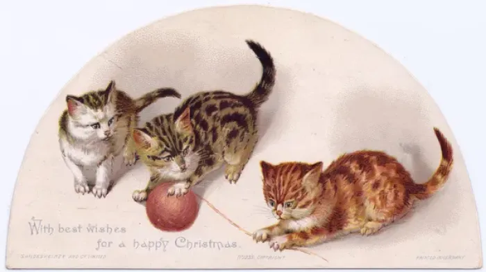 Framed Print : Three kittens on a Christmas card Framed Print : Three kittens on a Christmas card