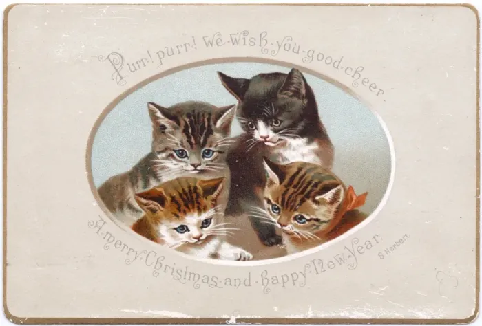 Framed Print : Four kittens on a Christmas card Framed Print : Four kittens on a Christmas card