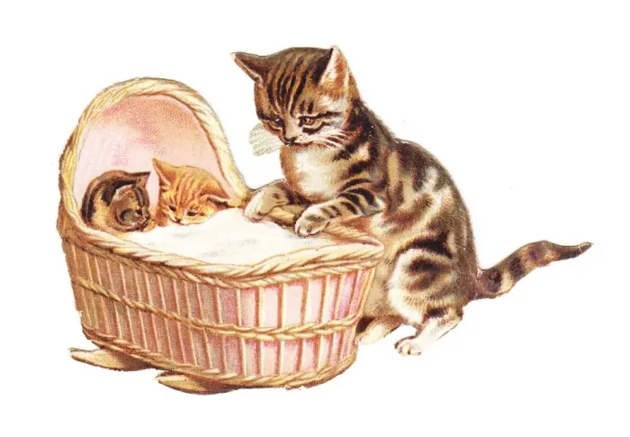 Framed Print : Two kittens in a cradle on a cutout greetings card Framed Print : Two kittens in a cradle on a cutout greetings card