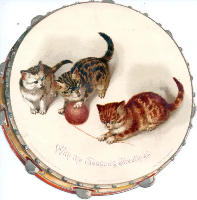 Framed Print : Three kittens on a cutout Christmas card Framed Print : Three kittens on a cutout Christmas card