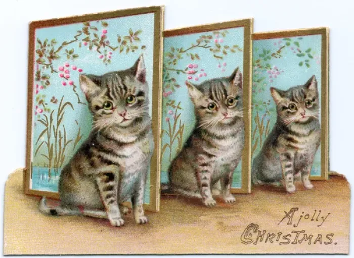 Framed Print : Three kittens on a cutout Christmas card Framed Print : Three kittens on a cutout Christmas card