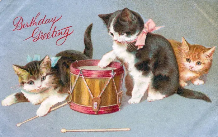 Framed Print : Kittens with a drum on a birthday postcard Framed Print : Kittens with a drum on a birthday postcard