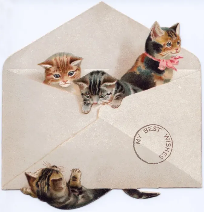 Framed Print : Four kittens in an envelope on a greetings card Framed Print : Four kittens in an envelope on a greetings card