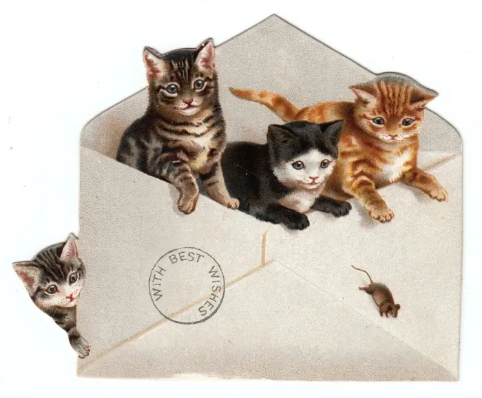 Framed Print : Four kittens and an envelope on a greetings card Framed Print : Four kittens and an envelope on a greetings card