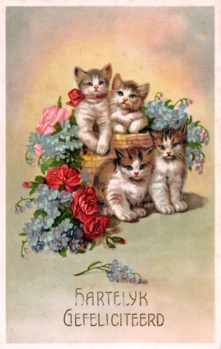 Framed Print : Kittens and flowers on a Dutch postcard Framed Print : Kittens and flowers on a Dutch postcard
