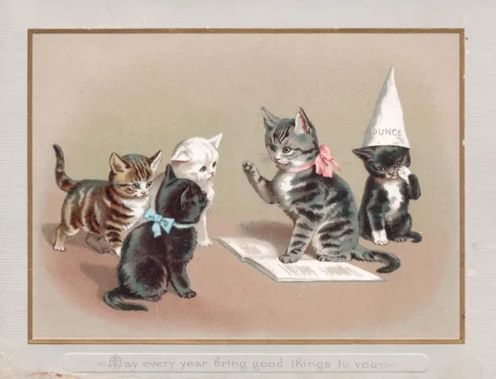 Framed Print : Five kittens on a greetings card Framed Print : Five kittens on a greetings card