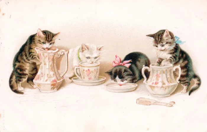 Framed Print : Kittens lapping milk on a greetings postcard Framed Print : Kittens lapping milk on a greetings postcard