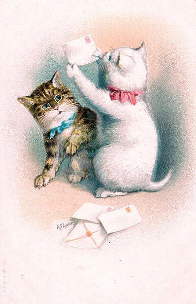 Two kittens with letters on a postcard