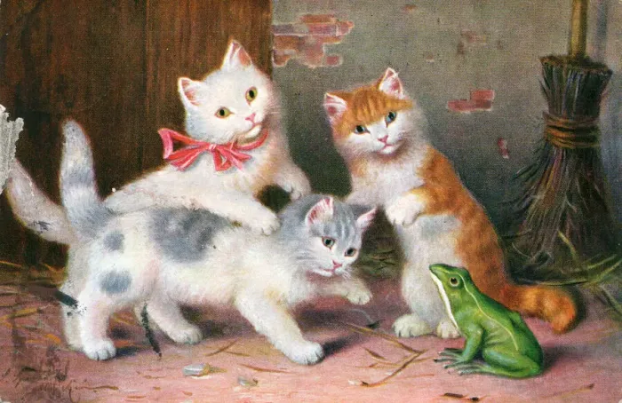 Framed Print : Three kittens meet a frog on a postcard Framed Print : Three kittens meet a frog on a postcard