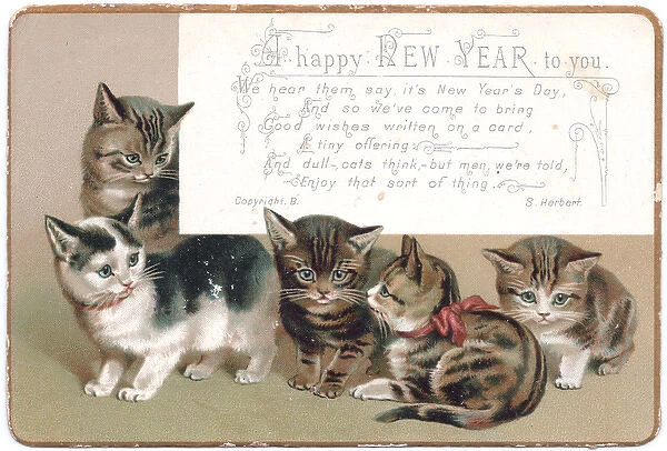 Five kittens on a New Year card