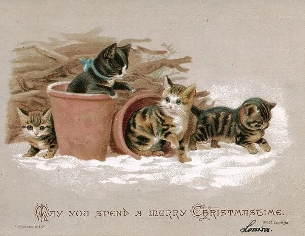 Four kittens with plant pots on a Christmas card