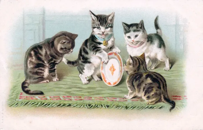 Framed Print : Four kittens with a plate on a postcard Framed Print : Four kittens with a plate on a postcard