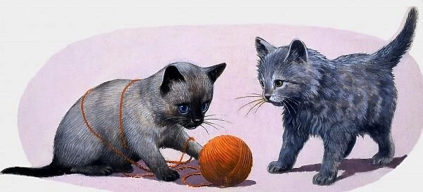 Kittens playing with a ball of wool