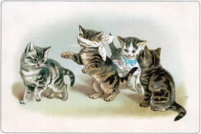 Framed Print : Four kittens playing blind mans bluff on a greetings card Framed Print : Four kittens playing blind mans bluff on a greetings card