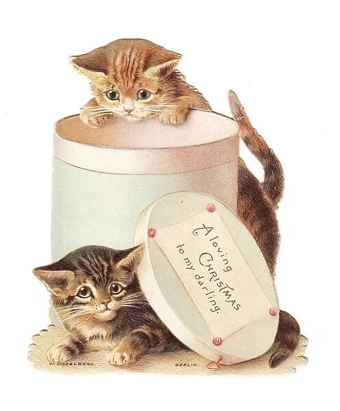 Two kittens playing with a hatbox on a Christmas card