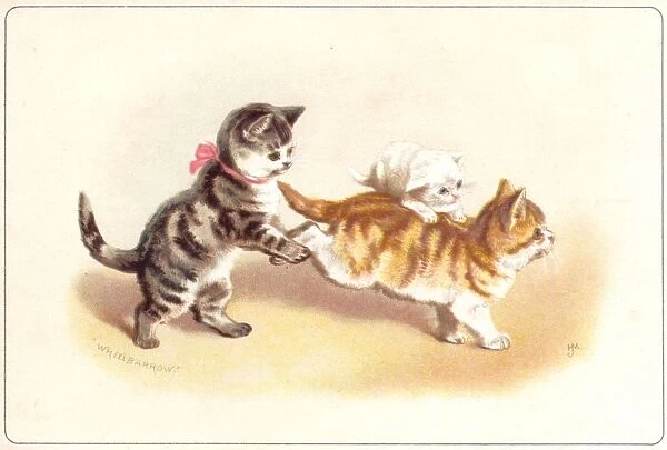 Three kittens playing wheelbarrow on a greetings card