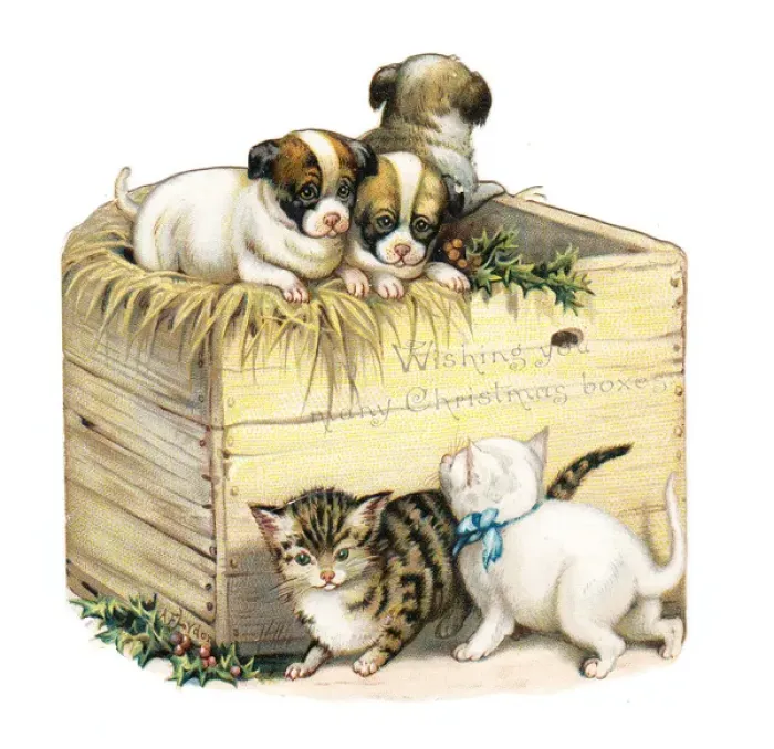 Framed Print : Kittens and puppies on a box-shaped Christmas card Framed Print : Kittens and puppies on a box-shaped Christmas card