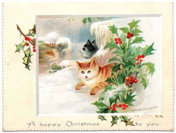 Two kittens in snowy garden on a Christmas card