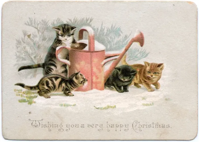 Framed Print : Four kittens with watering can on a Christmas card Framed Print : Four kittens with watering can on a Christmas card