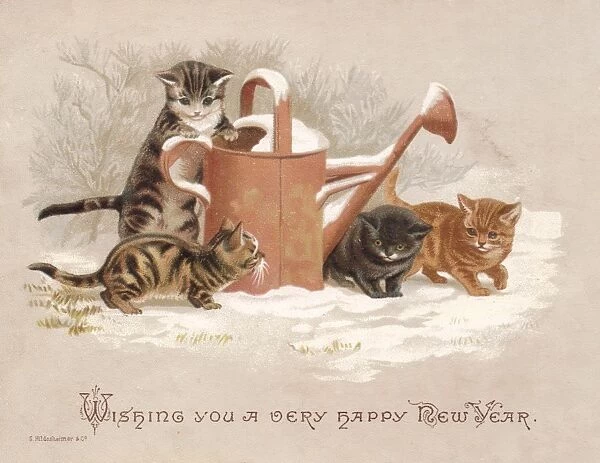 Four kittens with watering can on a New Year card