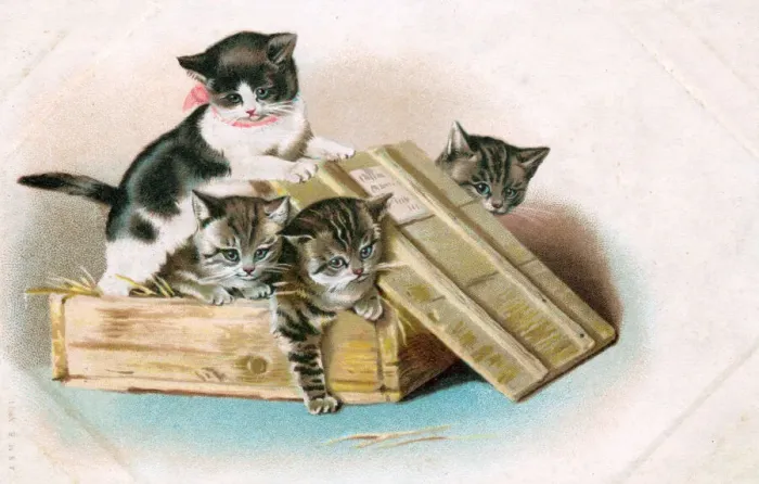 Framed Print : Four kittens in a wooden crate on a greetings postcard Framed Print : Four kittens in a wooden crate on a greetings postcard