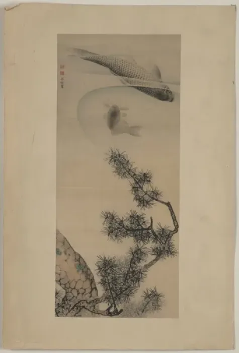 Framed Print : Koi under a pine branch Framed Print : Koi under a pine branch