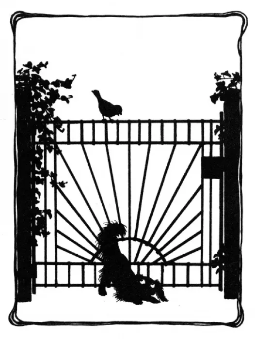 Framed Print : Koko squeezes under the gate Framed Print : Koko squeezes under the gate