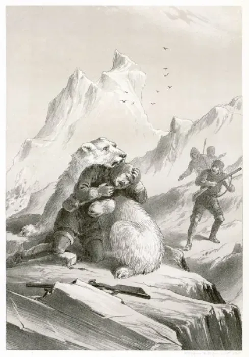 Framed Print : Koldewey / Bear Attack Framed Print : Koldewey / Bear Attack