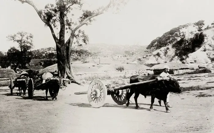 Framed Print : Korea: farm carts Framed Print : Korea: farm carts