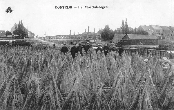 Kortrijk - sheafs of corn