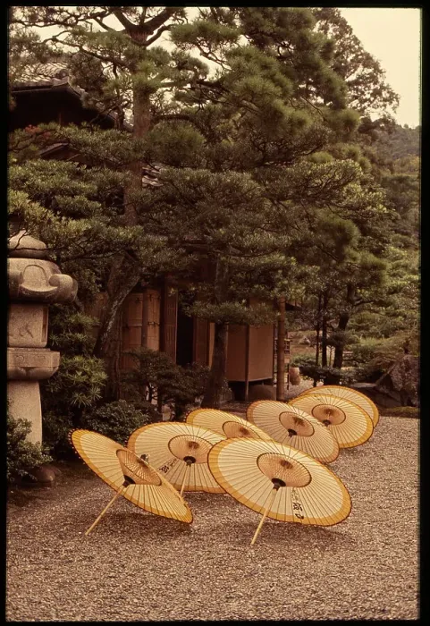Framed Print : Kyoto, sunshades, Japan, sandra Framed Print : Kyoto, sunshades, Japan, sandra