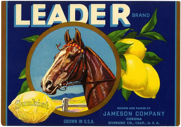 Label design, Leader Sunkist Lemons