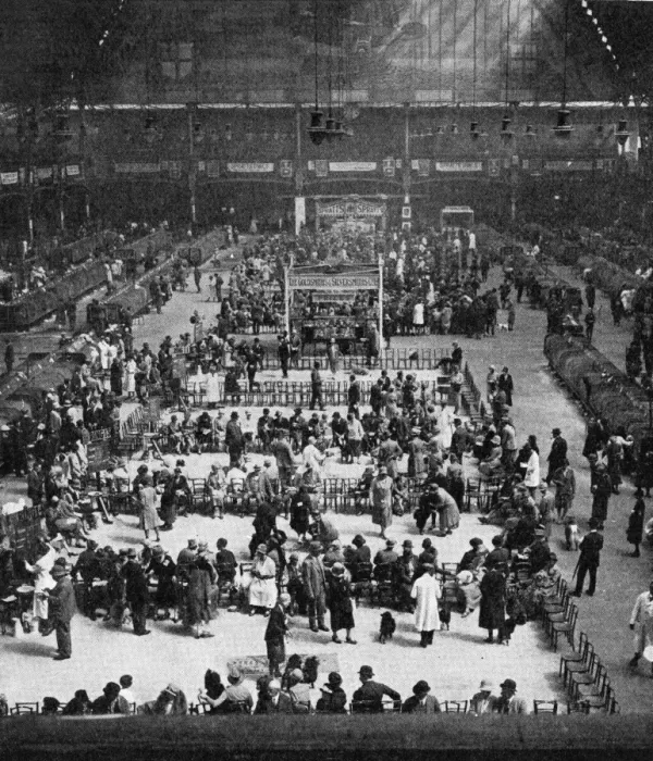 Framed Print : Ladies Kennel Association Show at Olympia, 1927 Framed Print : Ladies Kennel Association Show at Olympia, 1927