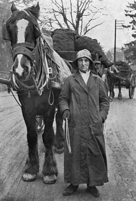 Framed Print : Lady with carthorse and coal, WW1 Framed Print : Lady with carthorse and coal, WW1