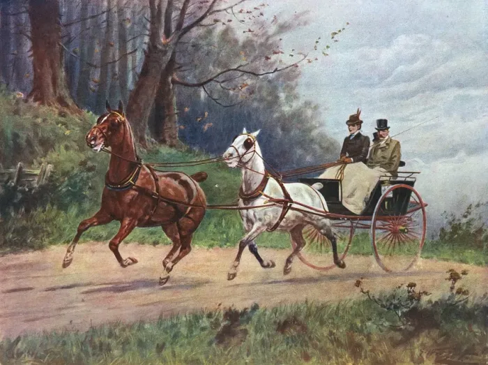 Framed Print : Lady Drives a Tandem Framed Print : Lady Drives a Tandem